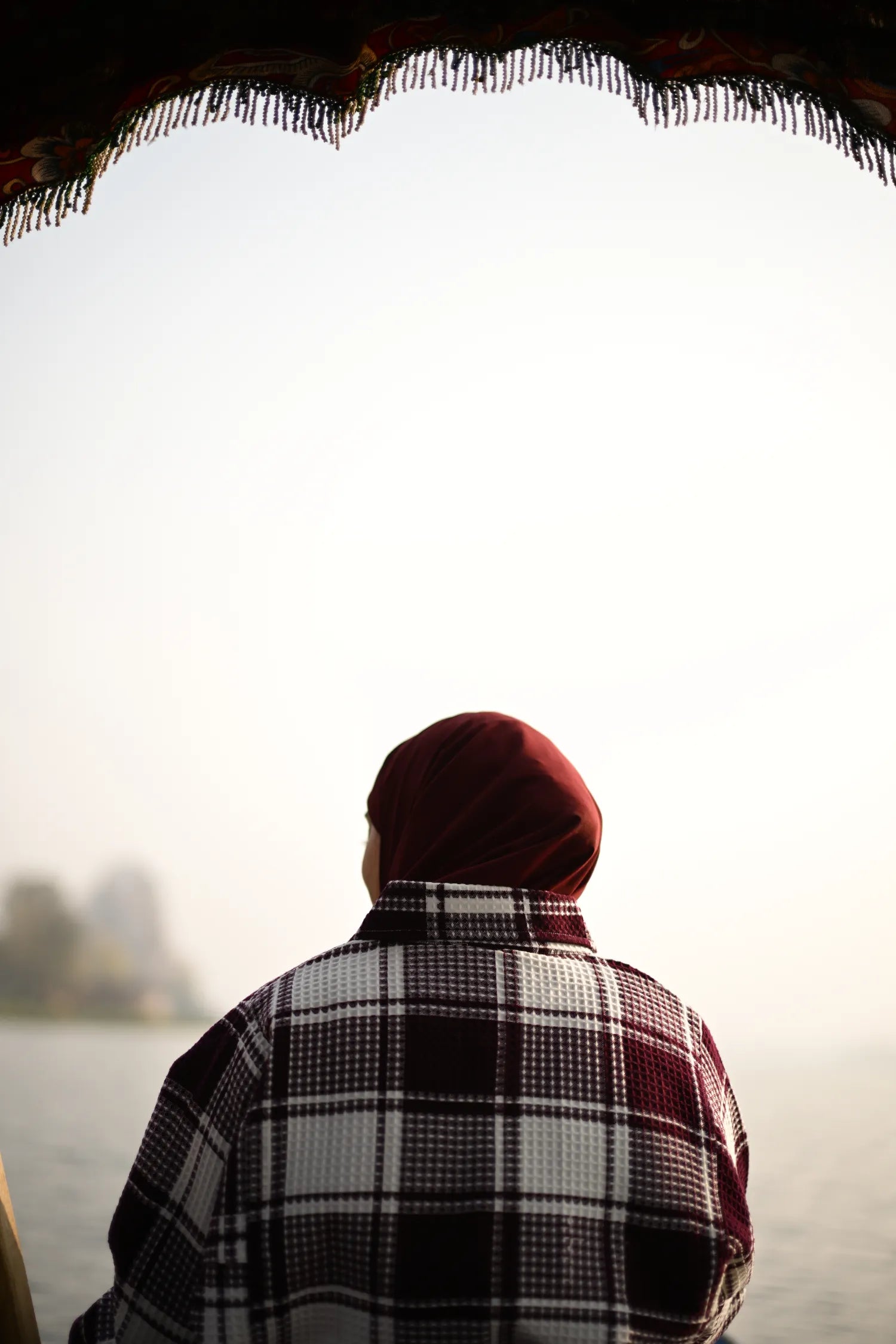 المارون والأبيض الكشميري الفيران التقليدي