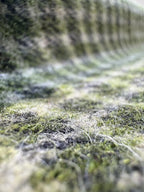 baraqah merino tweed fabric 