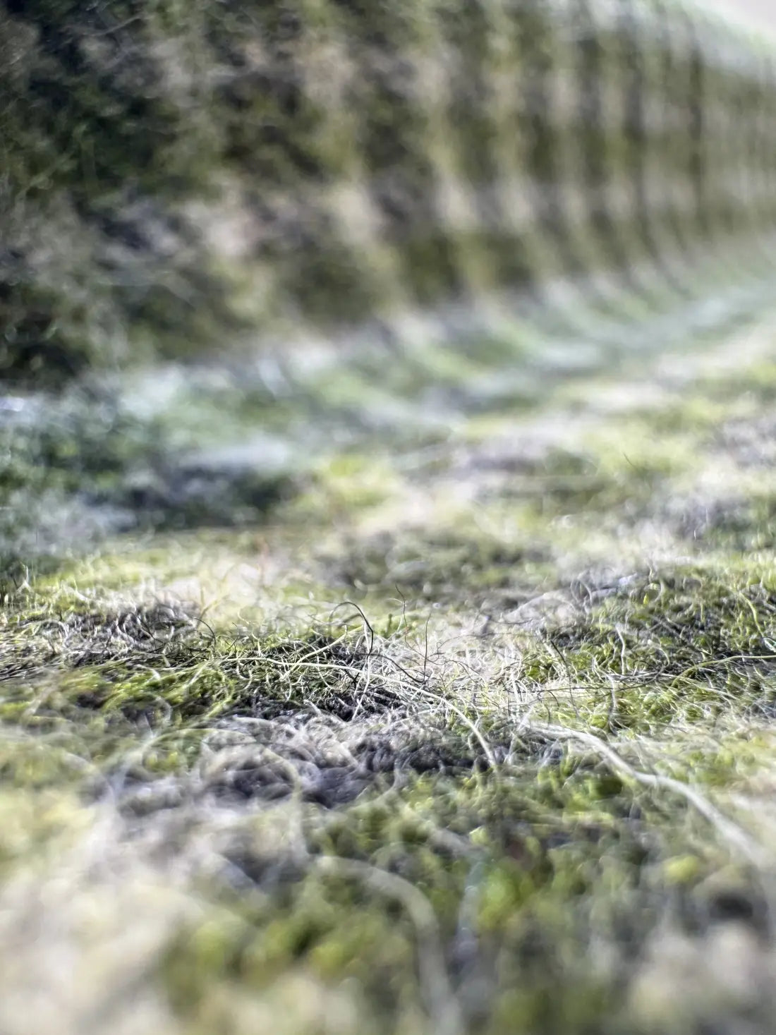 Garland Green Checkered Cashmere Merino Tweed