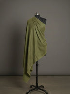 baraqah light green color pashmina shawl for women 