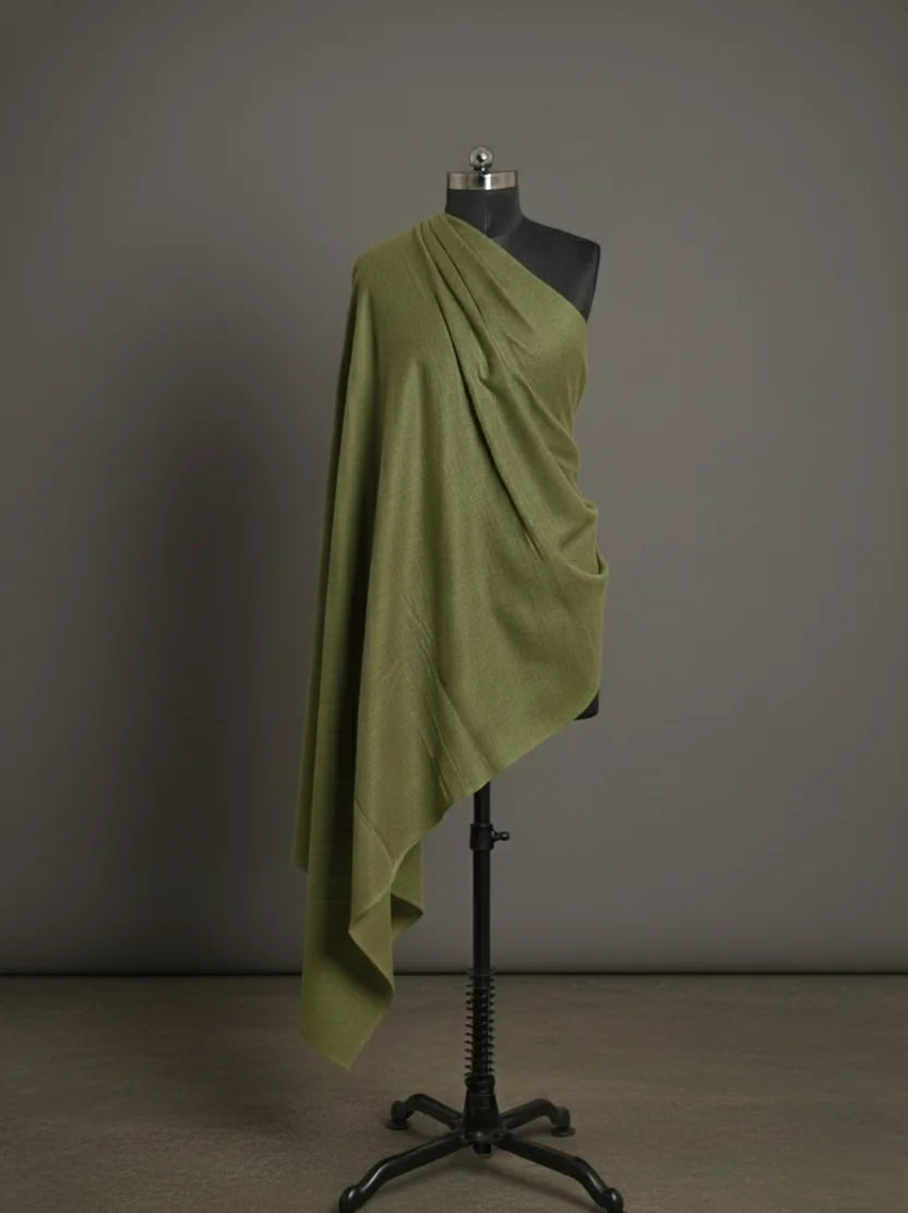 baraqah light green color pashmina shawl for women 