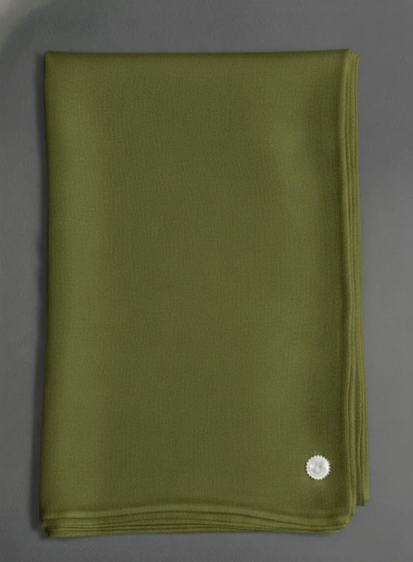 baraqah light green color pashmina shawl for women 